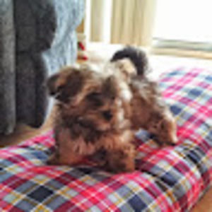 Meet your Posher, Ruthanne